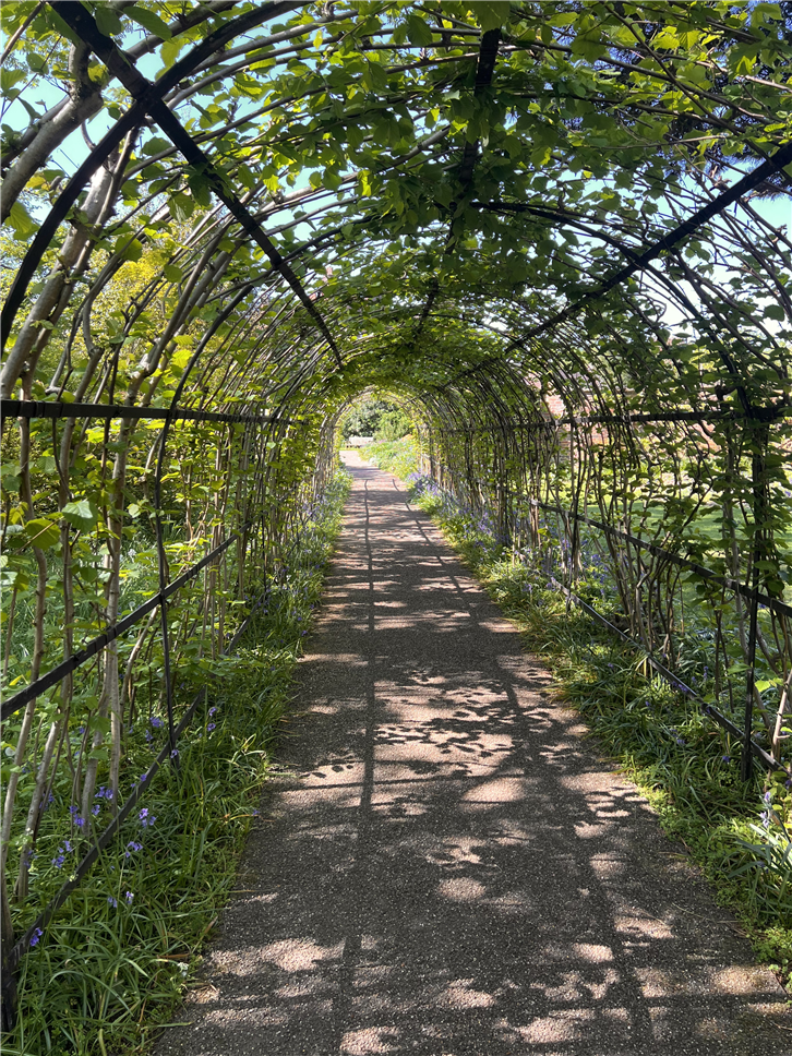 birmingham 4032 winterbourne house archway of creepers-crop-v2.jpeg